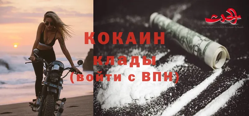 цена наркотик  ОМГ ОМГ ССЫЛКА  Cocaine FishScale  Вязьма 